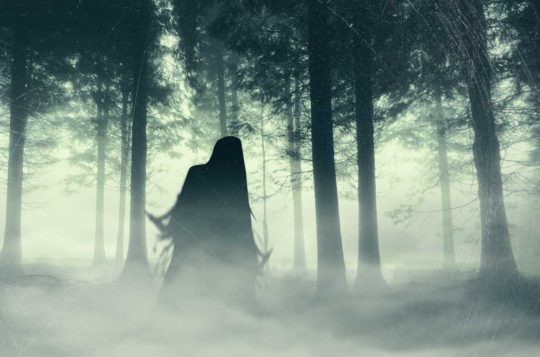 The Most Haunted Forest In The World