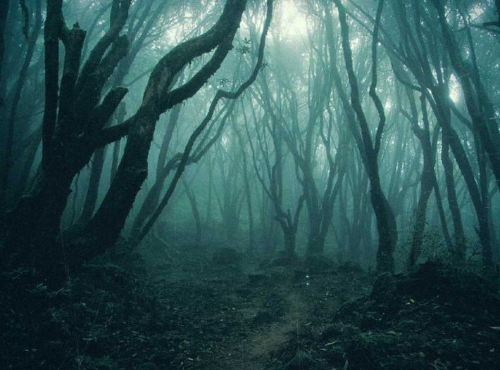 The Terrifying Forest where People go to Die!