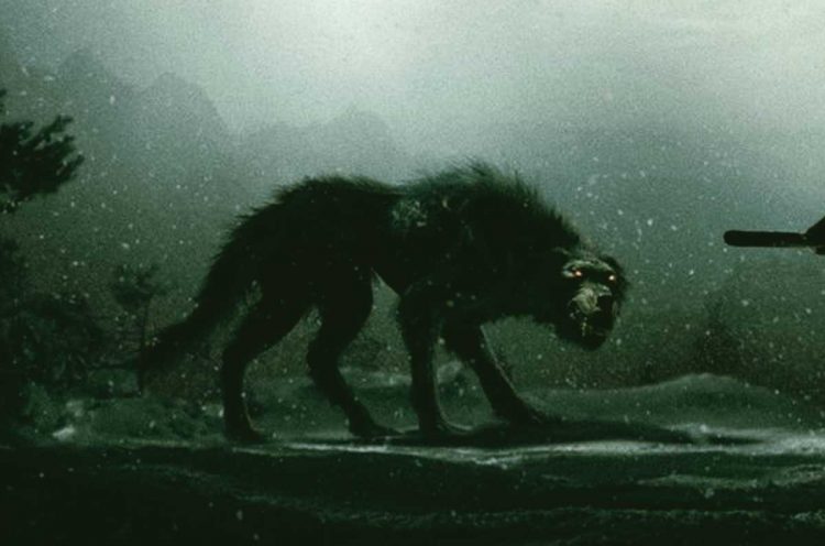 Has The Mystery of The Beast of Dartmoor Finally Been Resolved?
